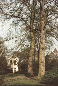 605967 Gezicht in de tuin van het complex van het Duitse Huis (tevens voormalig Militair Hospitaal Dr. A. Mathijsen), ...